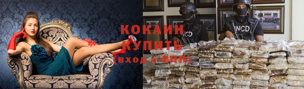 марки nbome Дмитриев