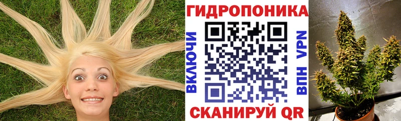 Конопля ГИДРОПОН  даркнет сайт  Судак 